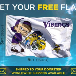 Vikings Bad Boy Flag