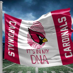 Cardinals dna flag