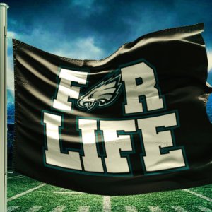 Eagles for life flag