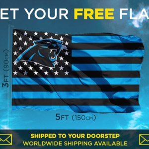 Panthers US Flag