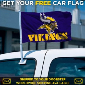 Vikings Car Flag