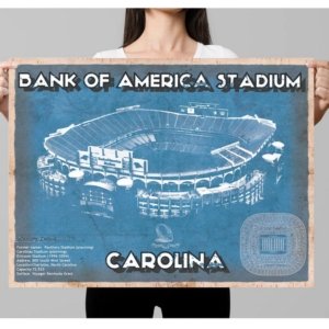 Panthers Vintage Stadium Print